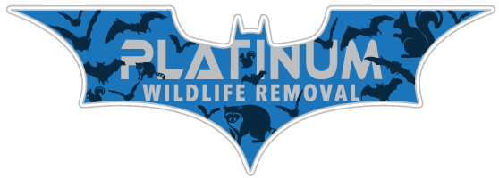 Angola Wildlife Removal